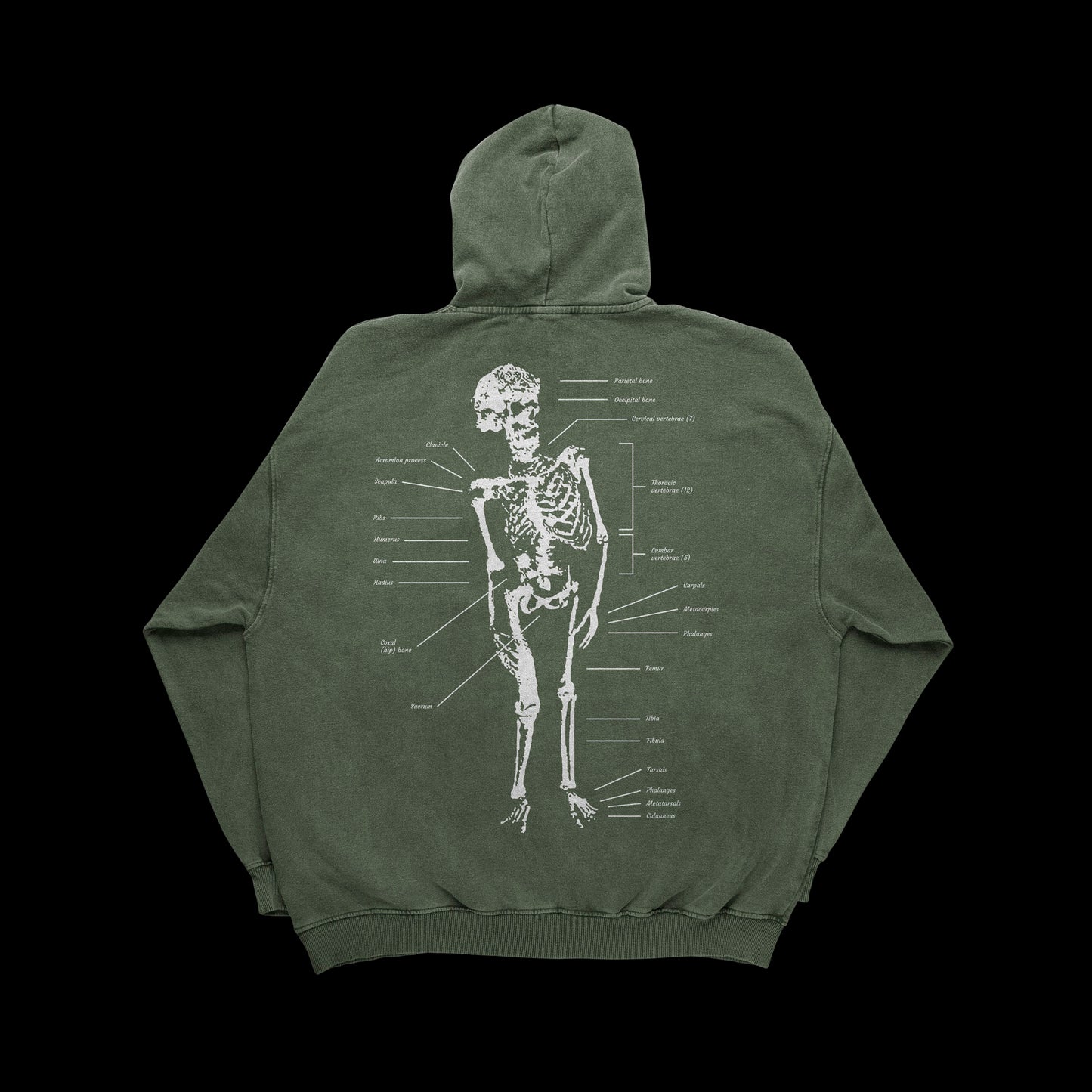 The Elephant Man's Bones (Green Hoodie)