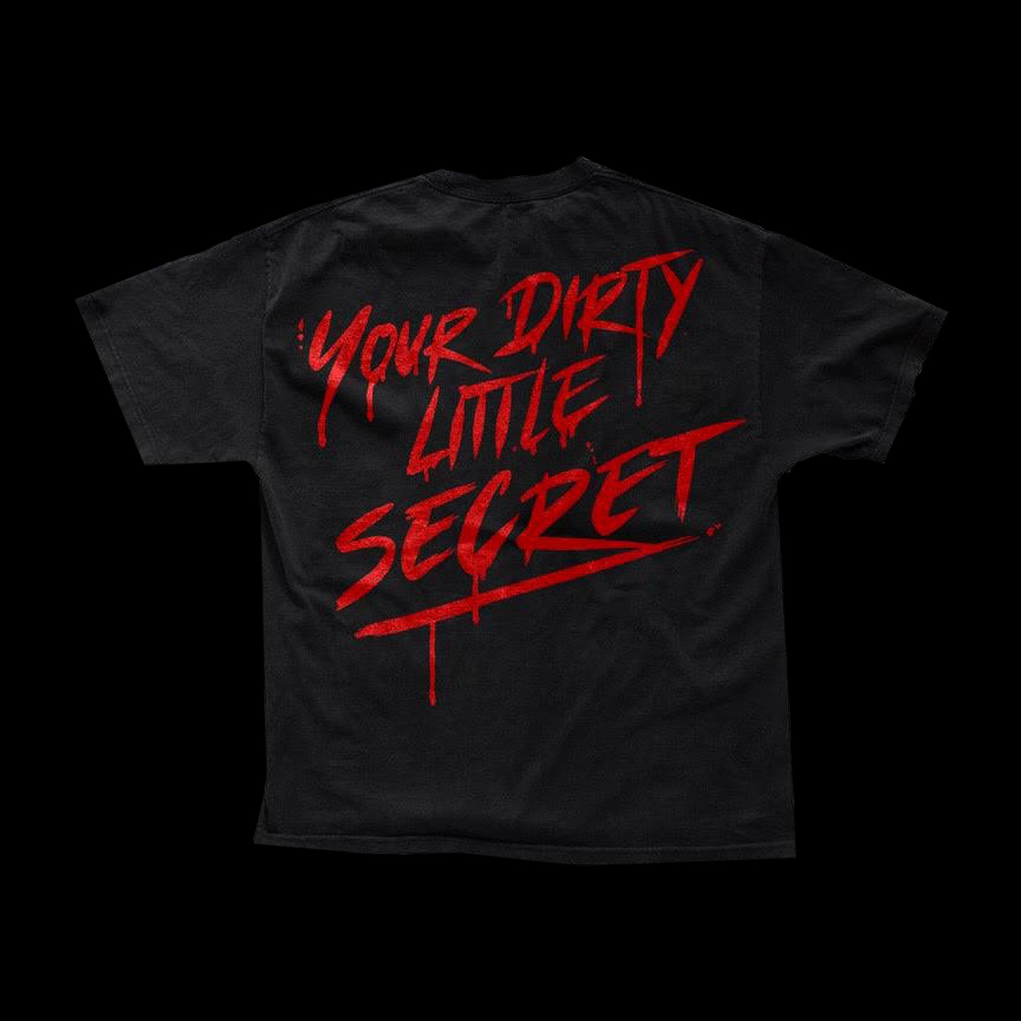 Gallery Dept. Mt. Marci "Your Dirty Little Secret" Reversible Tee