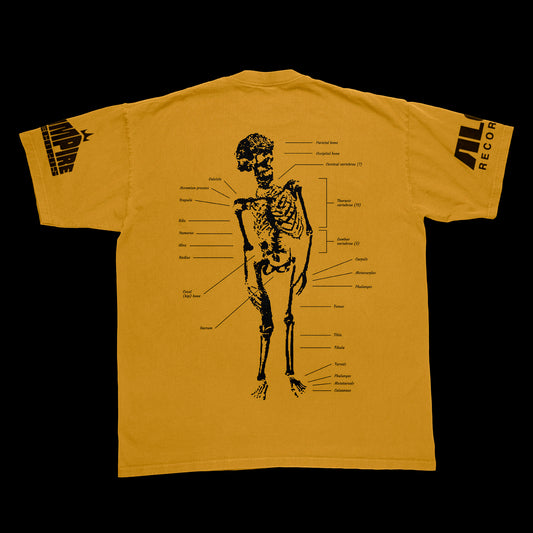 Bones (Yellow Shortsleeve Shirt)