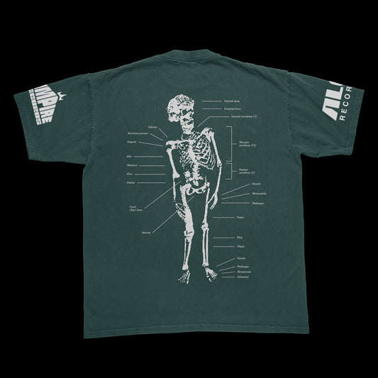 Bones (Green Shortsleeve Shirt)